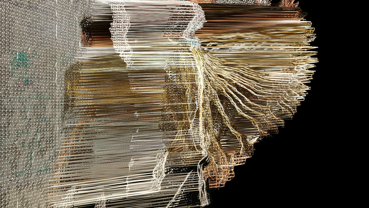 Suspended Motion Series I: III - 14x24” print