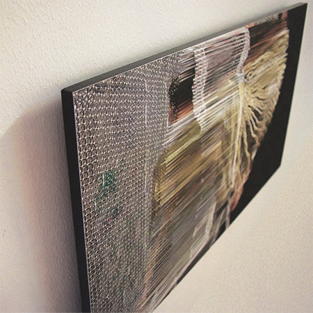 Suspended Motion Series I:III mounting