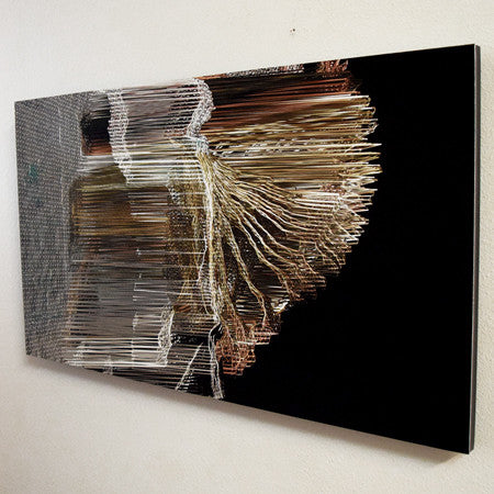 Suspended Motion Series I:III, 14x24"