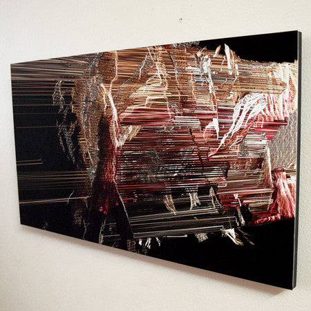 Suspended Motion Series I:II, 14x24"